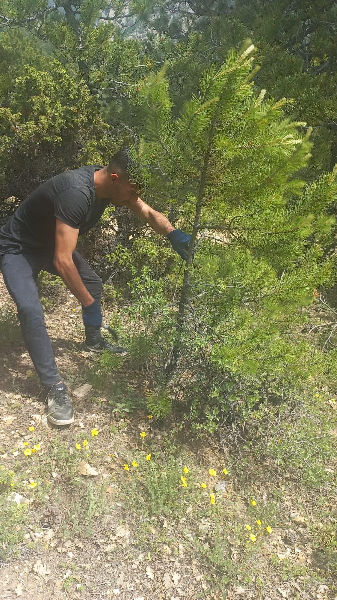 SİVİL KÜLTÜR ÇALIŞMALARI